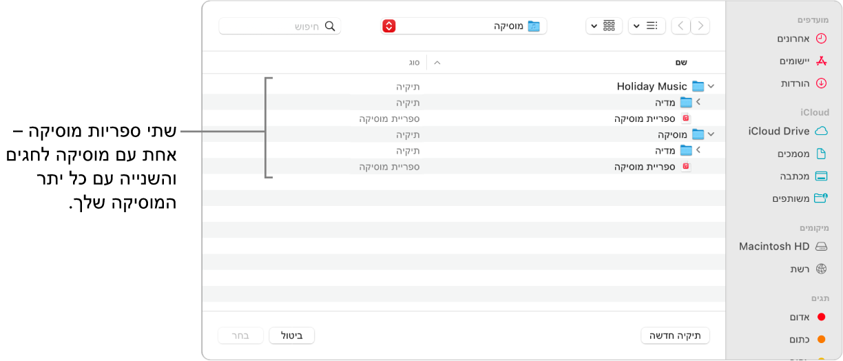 חלון Finder המציג מספר ספריות; אחת עבור מוסיקה לחגים והשנה עבור שאר המוסיקה שלך.