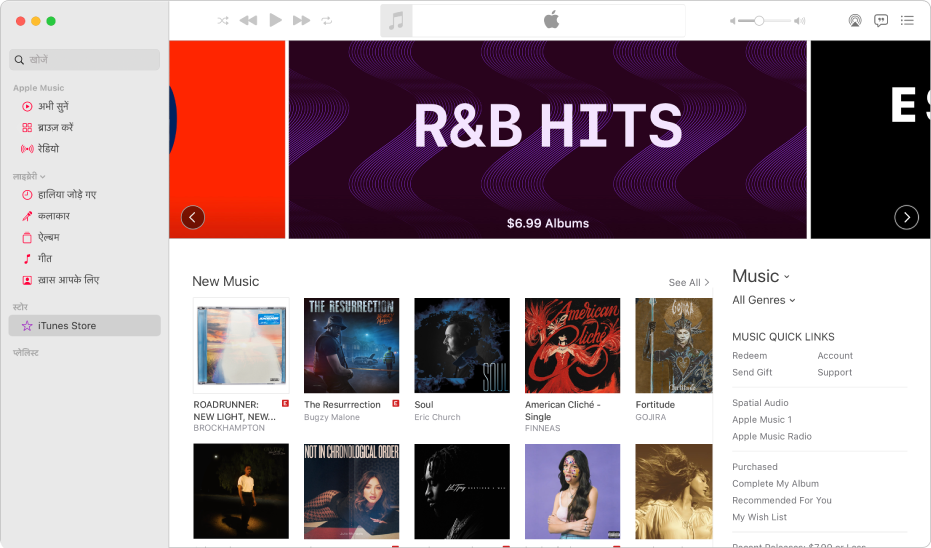 iTunes Store मुख्य विंडो: साइडबार में, iTunes Store चिह्नांकित होता है।