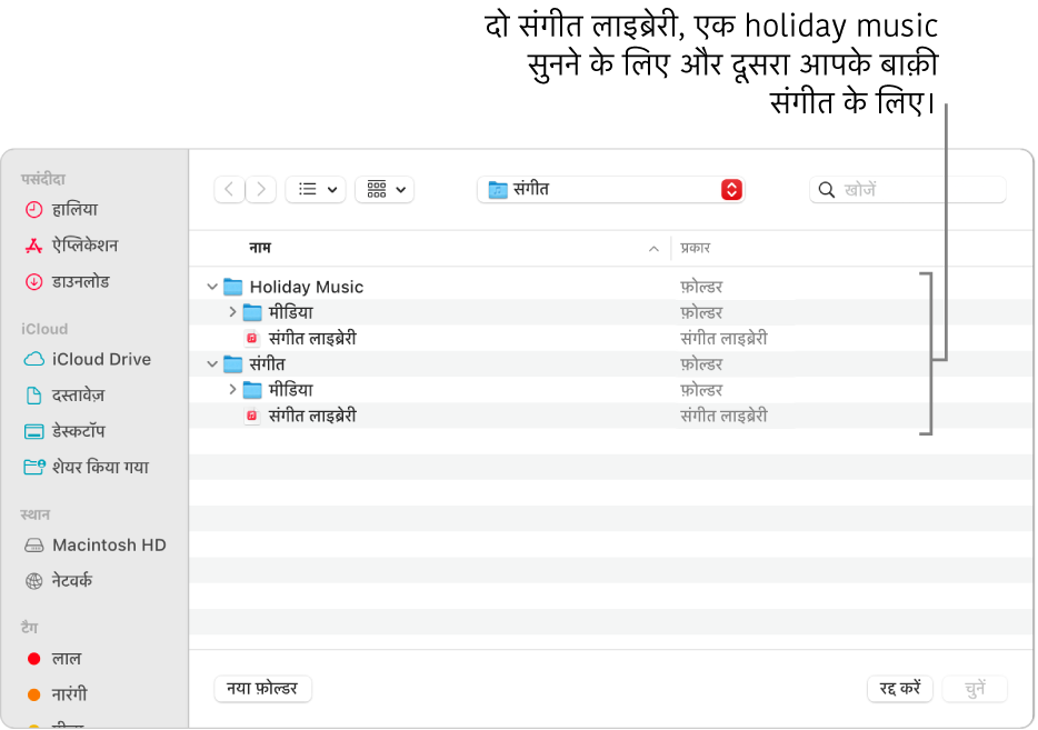 एकाधिक लाइब्रेरी दिखाती हुई Finder विंडो—एक छुट्टी में संगीत सुनने के लिए और दूसरा आपके बाक़ी संगीत के लिए।