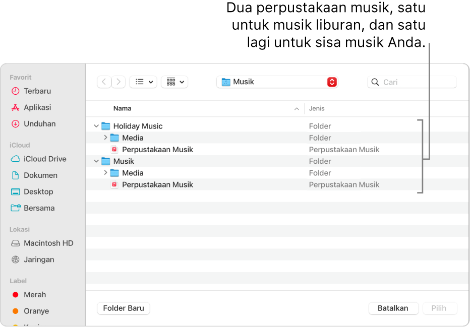 Jendela Finder menampilkan beberapa perpustakaan—satu untuk musik liburan, dan yang lain untuk sisa musik Anda.