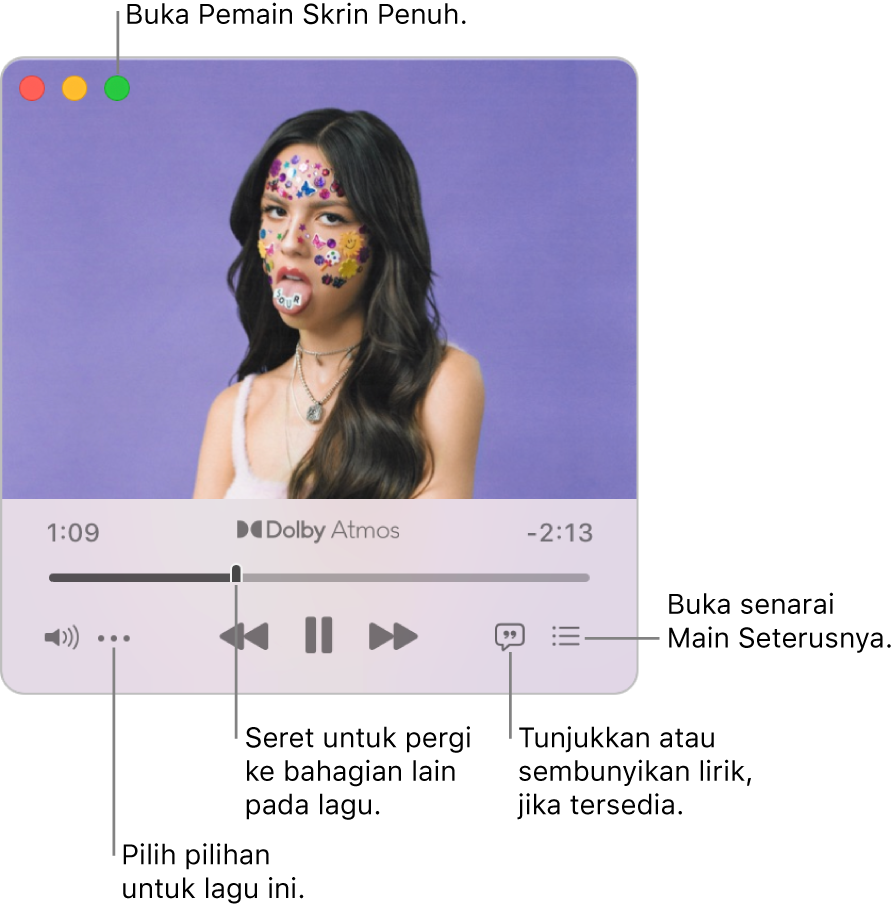 Pemain Mini dikembangkan menunjukkan kawalan untuk lagu yang sedang dimainkan. Di bahagian penjuru kiri atas ialah butang hijau, digunakan untuk membuka Pemain Skrin Penuh. Di bahagian bawah tetingkap ialah gelangsar yang anda boleh seret untuk pergi ke tempat berlainan dalam lagu. Di bawah gelangsar di sebelah kiri ialah butang Lagi, yang anda boleh memilih pilihan paparan dan pilihan lain untuk lagu yang sedang dimainkan. Di bahagian hujung kanan di bawah gelangsar ialah dua butang—butang Lirik untuk menunjukkan atau menyembunyikan lirik tersedia dan butang Main Seterusnya untuk melihat lagu yang akan dimainkan.