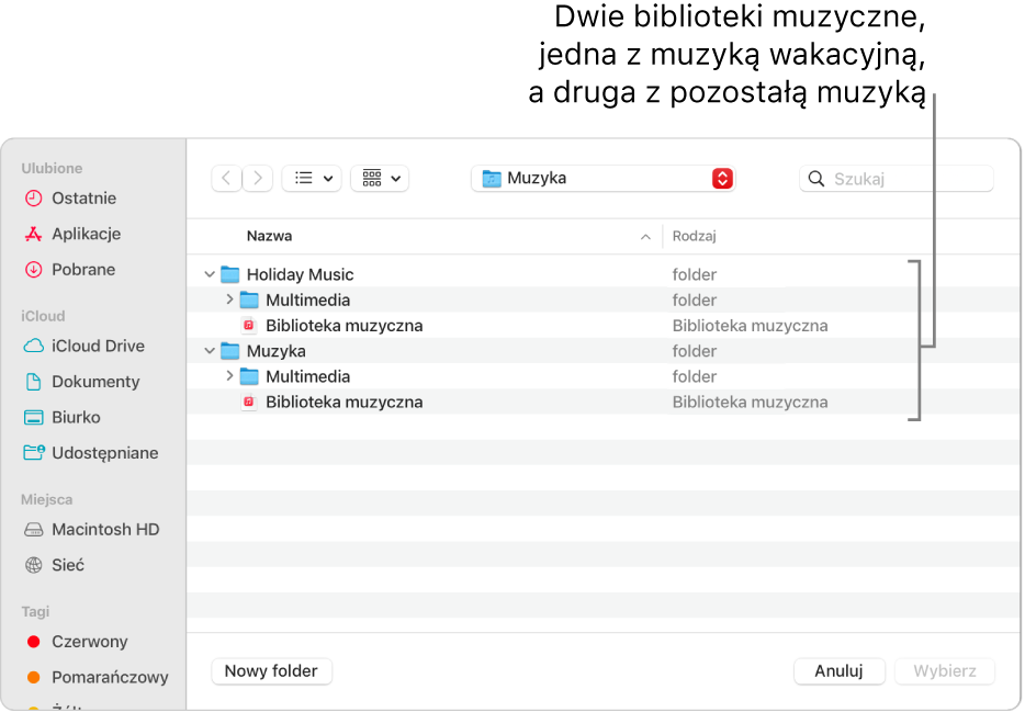 Okno Findera zawierające kilka bibliotek, jedną z muzyką świąteczną, a pozostałe z resztą Twojej muzyki.