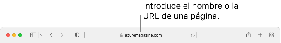 El campo de búsqueda inteligente situado en el centro de la barra de herramientas de Safari.