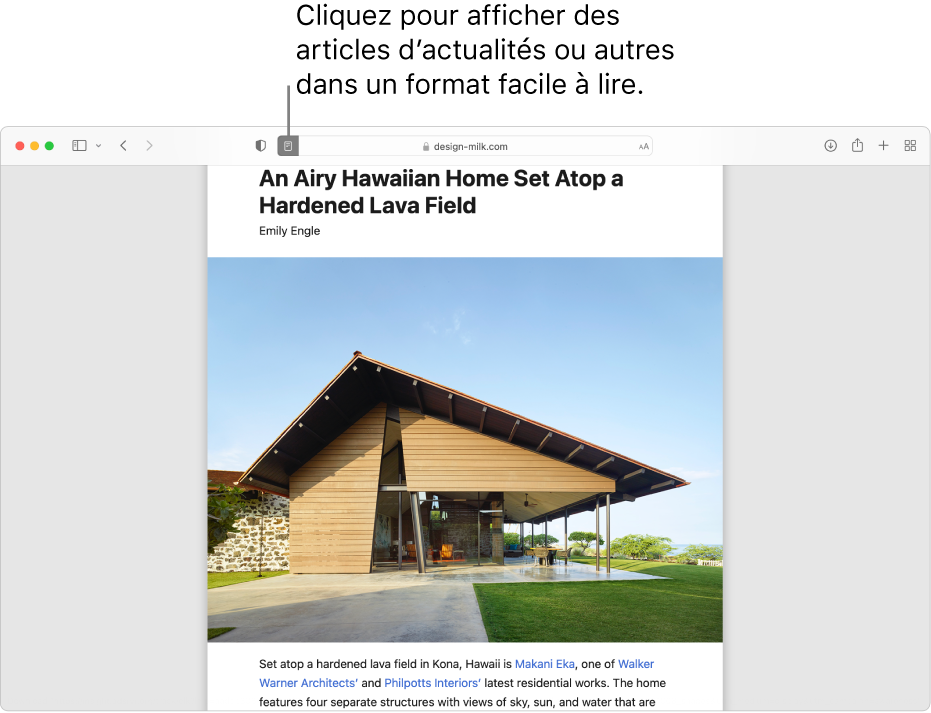 Un article affiché dans le lecteur, toutes les publicités et fonctions de navigation sont enlevées.