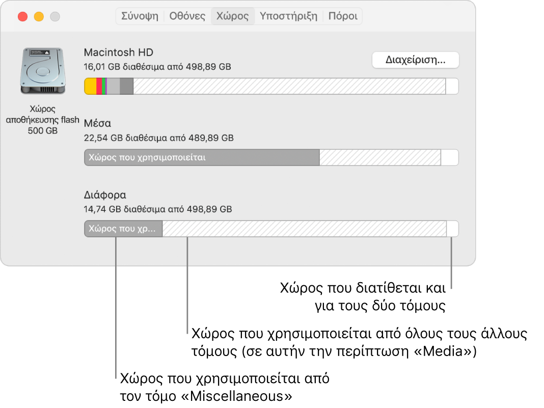 Ένα διαμέρισμα APFS (περιέκτης) με δύο τόμους.