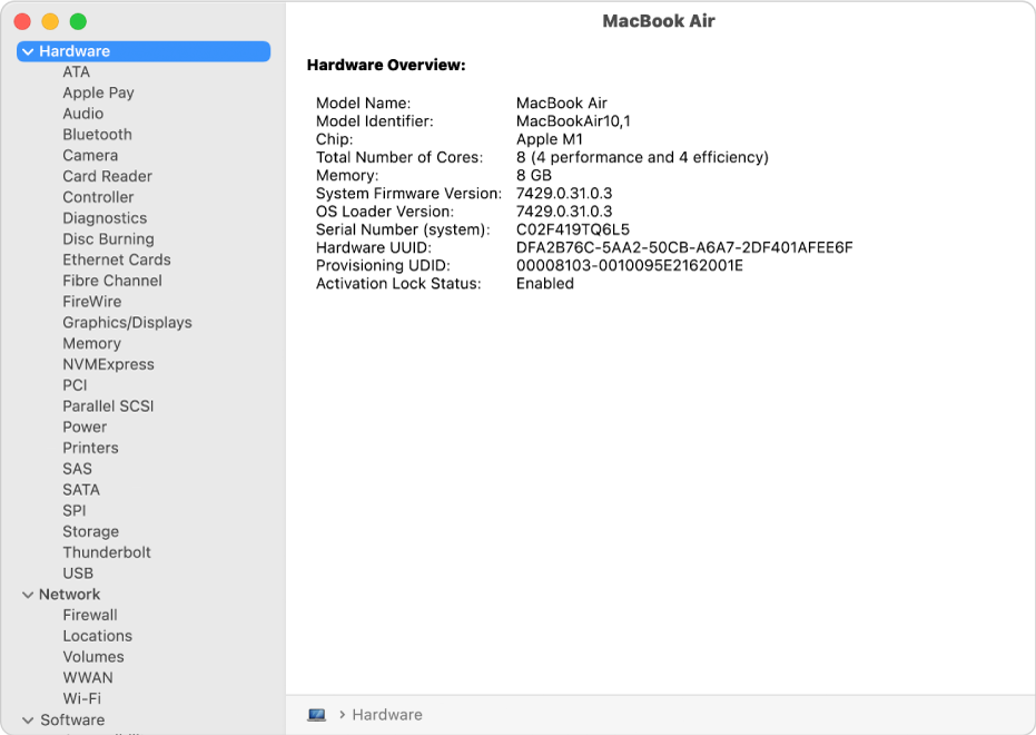 The Hardware Overview section of a system report.