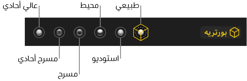 اختيارات تأثير إضاءة وضع بورتريه، بما فيها (من اليمين إلى اليسار) طبيعي واستوديو ومحيطي ومسرح ومسرح أحادي وضوء عالي أحادي.