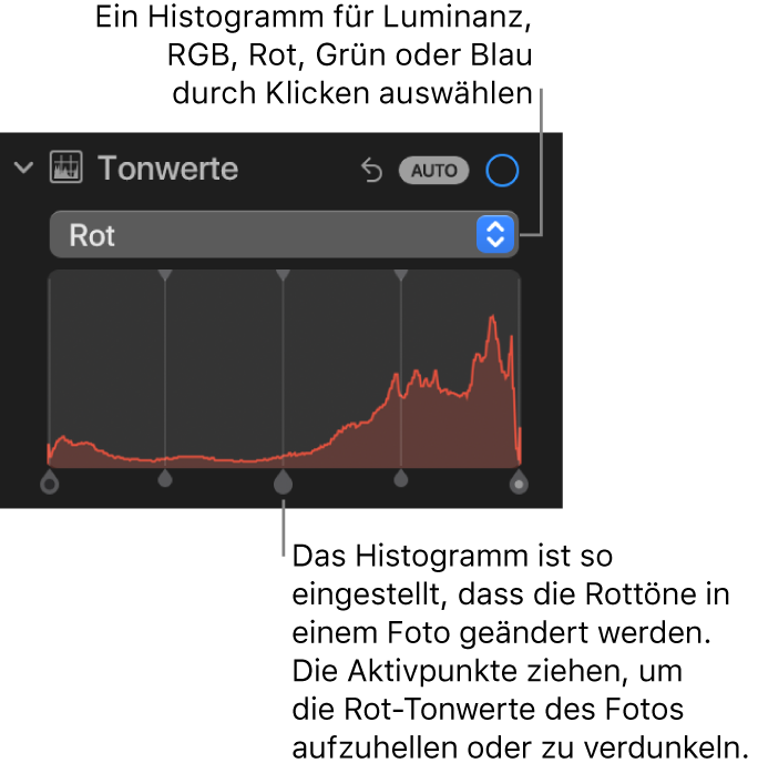 Die Steuerungen „Tonwerte“ im Bereich „Anpassen“ mit dem Histogramm „Rot“ und Aktivpunkten unten, um den Rotwert eines Fotos anzupassen.