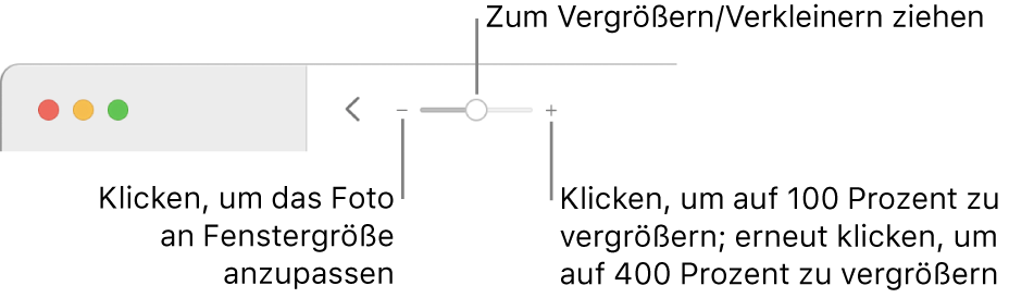 Die Symbolleiste mit den Zoomsteuerungen.