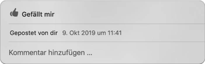 Fenster mit den Optionen „Gefällt mir“ und „Kommentar“ für ein geteiltes Foto