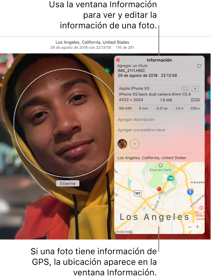 La ventana Información de una foto.