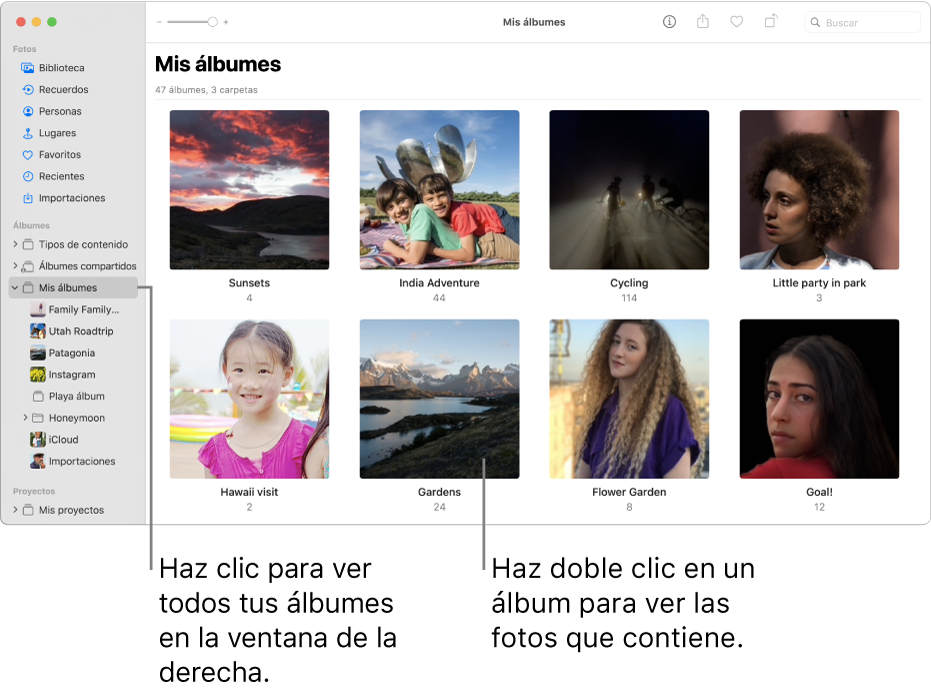 La ventana de Fotos con “Mis álbumes” seleccionado en la barra lateral, y los álbumes que creaste se muestran en la ventana a la derecha.