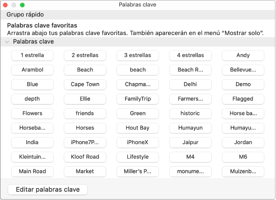 Palabras clave en el “Gestor de palabras clave”, con el área “Grupo rápido” en la parte superior y un botón “Editar palabras clave” en la esquina inferior izquierda.