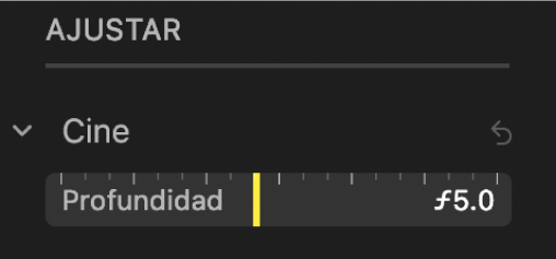 Los controles de ajuste Cinematográfico que muestran el regulador de Profundidad.