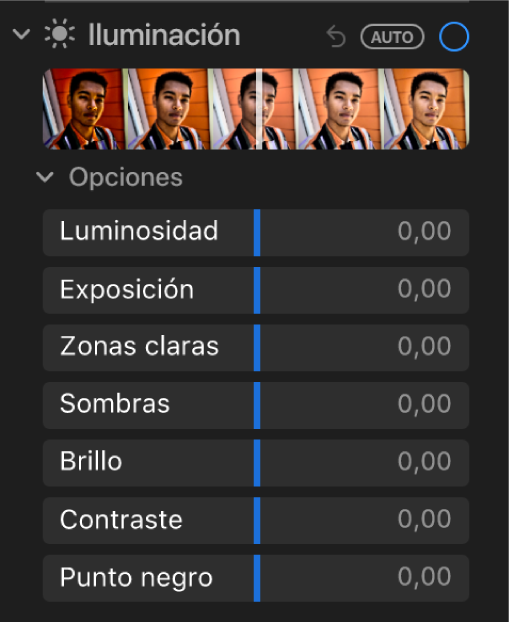 El área Luz del panel Ajustar con reguladores para Luminosidad, Exposición, Zonas claras, Sombras, Brillo, Contraste y Punto negro.