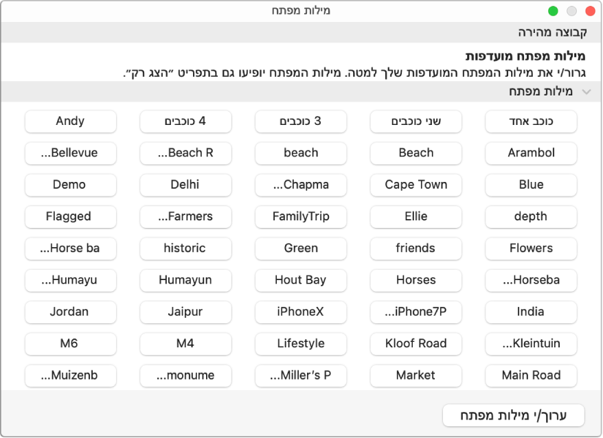 מילות מפתח בחלון “מנהל מילות המפתח”, עם האזור ״קבוצה מהירה״ בחלק העליון וכפתור “ערוך/י מילות מפתח” למטה בצד.