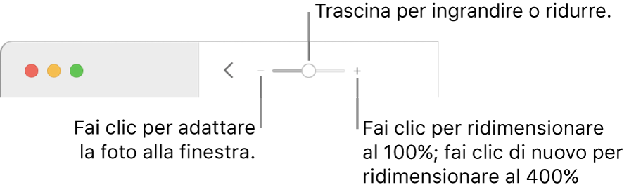 La barra strumenti con i controlli di zoom.