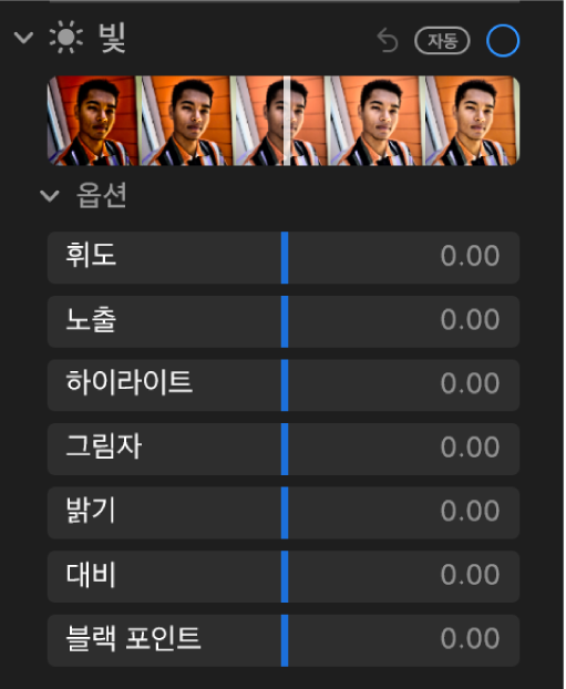 휘도, 노출, 하이라이트, 그림자, 밝기, 대비 및 블랙 포인트 슬라이더가 표시된 조절 패널의 빛 영역.