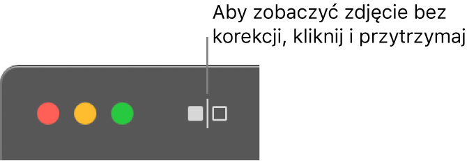 Przycisk wyświetlania zdjęcia bez korekcji obok narzędzi okna w lewym górnym rogu okna.