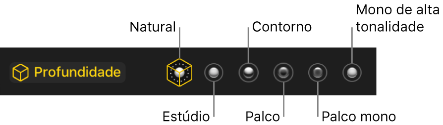 Opções dos efeitos de iluminação do modo vertical, incluindo (da esquerda para a direita): Natural, Estúdio, Contorno, Palco, Palco mono e Mono de alta tonalidade.