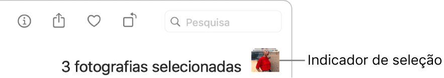 Um indicador de seleção a mostrar três fotografias selecionadas.