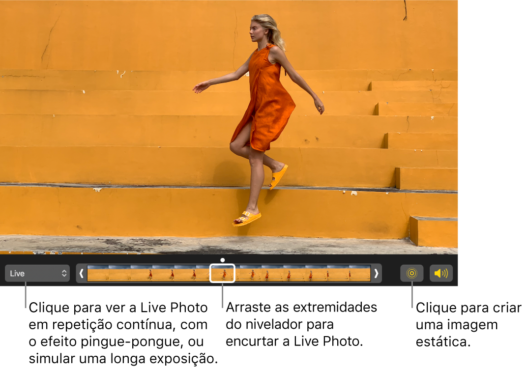 Uma Live Photo na vista de edição e, por baixo, um nivelador que mostra os fotogramas da fotografia. À esquerda do nivelador aparecem os botões de Live Photo e de altifalante, e à direita o menu pop-up que permite adicionar uma repetição contínua, um efeito de pingue-pongue ou de longa exposição.