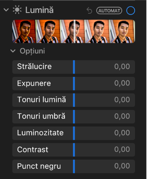 Zona Lumină a panoului Ajustare afișând glisoare pentru Strălucire, Expunere, Tonuri luminoase, Tonuri întunecate, Luminozitate, Contrast și Punct de negru.
