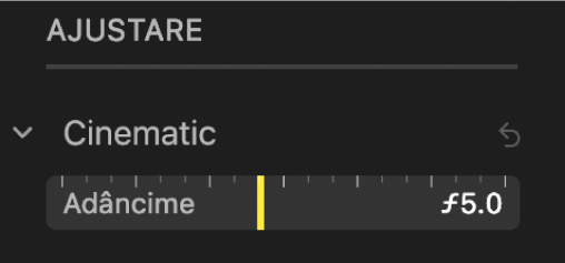 Comenzile de ajustare cinematice afișând glisorul Adâncime.