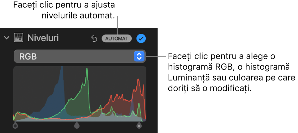 Comenzile Niveluri în panoul Ajustare, cu butonul Automat în partea din dreapta sus și histograma RGB dedesubt.