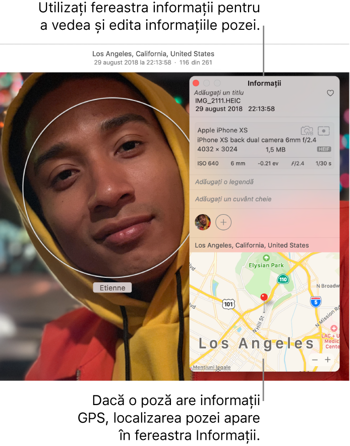 Fereastra Informații aferentă unei poze.