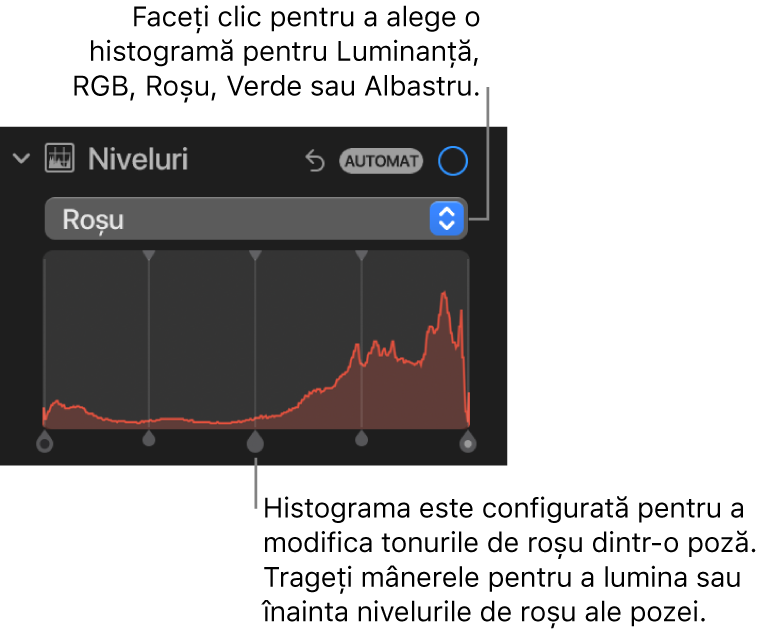 Comenzile Niveluri în panoul Ajustare, afișând histograma Roșu cu mânerele dedesubt pentru ajustarea nivelurilor de roșu ale pozei.