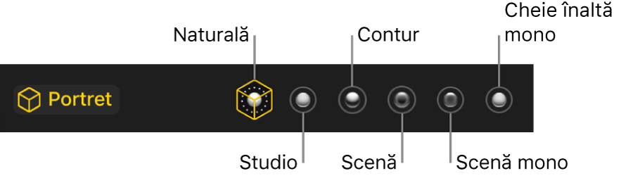 Opțiuni pentru efectul de iluminare al modului Portret, inclusiv (de la stânga la dreapta) Natural, Studio, Contur, Scenă, Scenă mono și Cheie înaltă mono.