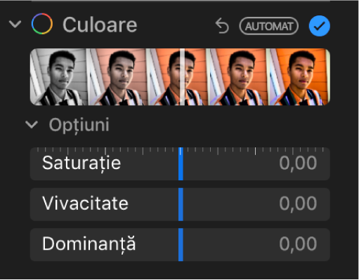 Zona Culoare a panoului Ajustare afișând glisoare pentru Saturație, Vivacitate și Dominanță.