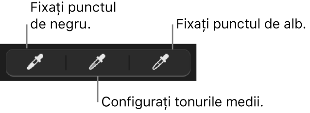 Trei pipete utilizate pentru a configura punctul de negru, tonurile medii și punctul de alb al pozei.