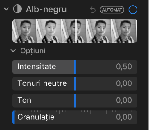 Zona Alb-negru a panoului Ajustare afișând glisoare pentru Intensitate, Tonuri neutre, Ton și Granulație.
