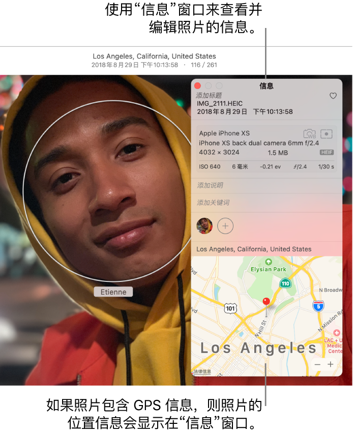 照片的“信息”窗口。