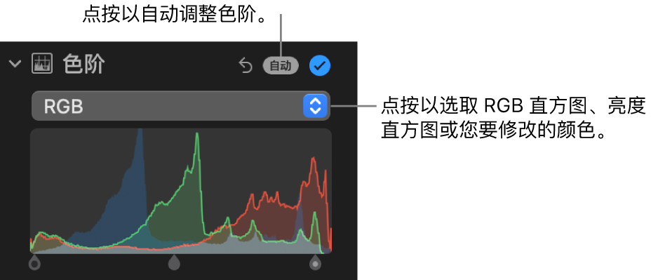 “调整”面板中的“色阶”控制，包含右上方的“自动”按钮和下方的 RGB 直方图。