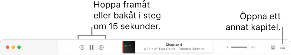 Ljudboksspelaren i Böcker visar (från vänster till höger) knappen för uppspelningshastighet, knapparna för att hoppa framåt och bakåt, titeln och författaren på ljudboken som spelas upp just nu, volymreglaget och knappen för innehållsförteckningen.