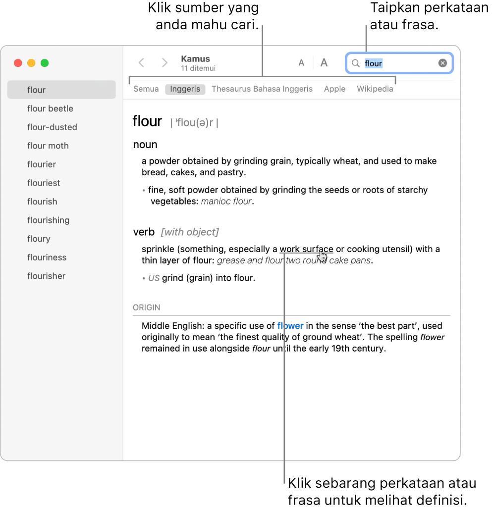 Tetingkap Kamus penuh menunjukkan definisi. Klik sebarang perkataan atau frasa dalam definisi untuk melihat definisinya. Untuk memilih sumber untuk dicari, klik pada namanya dalam bar alat, yang terletak di bahagian bawah bar alat. Taipkan perkataan atau frasa ke dalam medan carian.