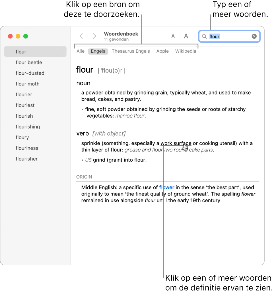 Het volledige Woordenboek-venster met een definitie. Klik op een of meer woorden in de definitie om de desbetreffende definitie weer te geven. Om een bron te doorzoeken, klik je op de naam van de bron in de bronbalk, onder de knoppenbalk. Typ een of meer woorden in het zoekveld.