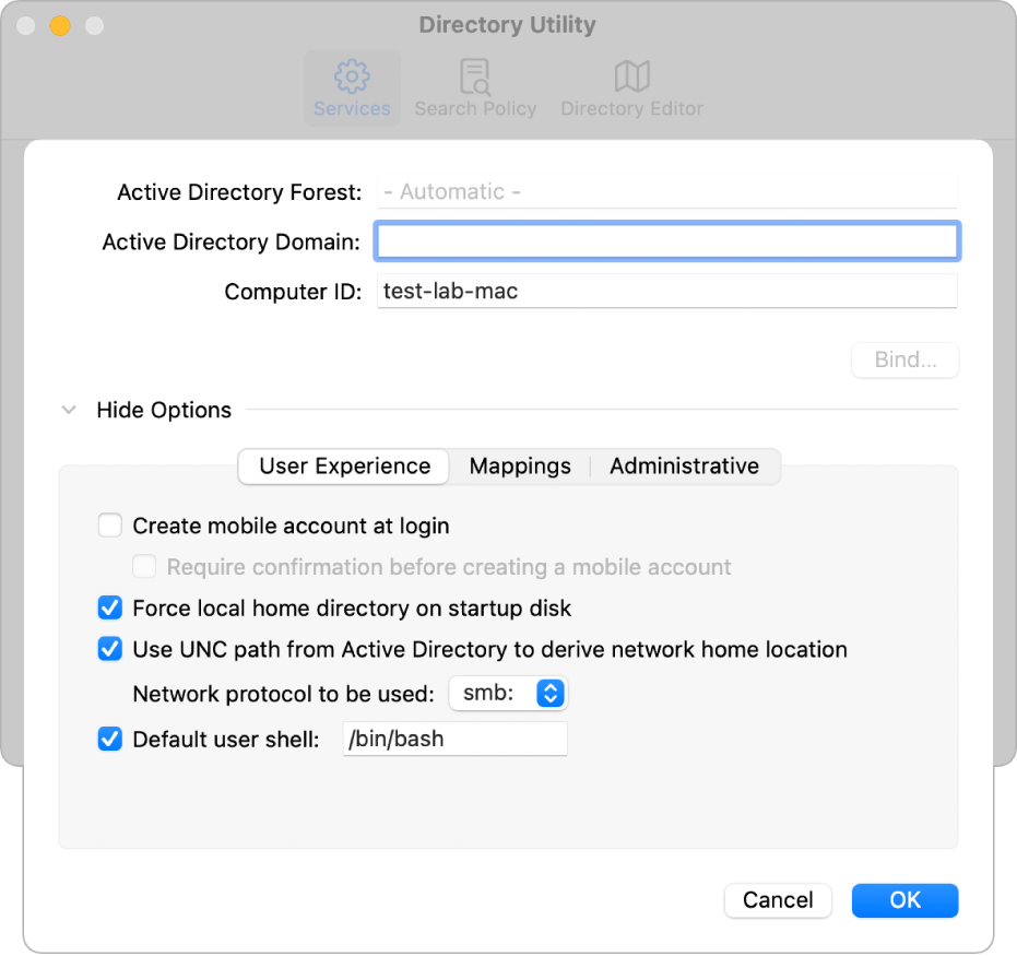 The Active Directory configuration dialogue with the options section expanded.