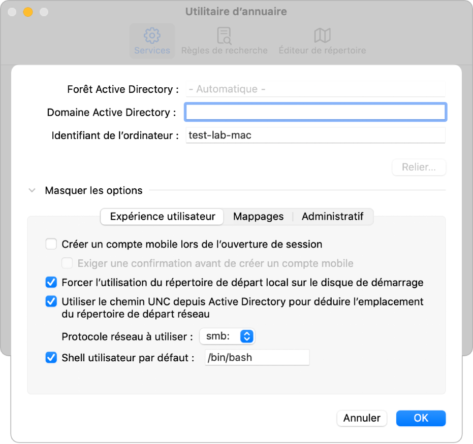 Zone de dialogue de configuration Active Directory avec la section relative aux options développée.