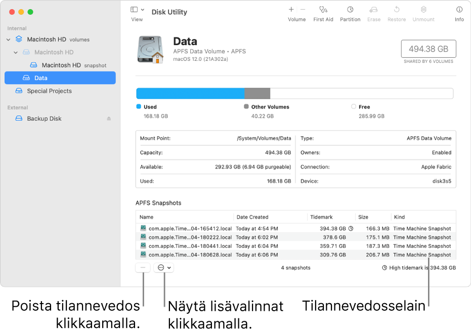 Levytyökalu-ikkuna, jossa näkyy tilannevedosselain.