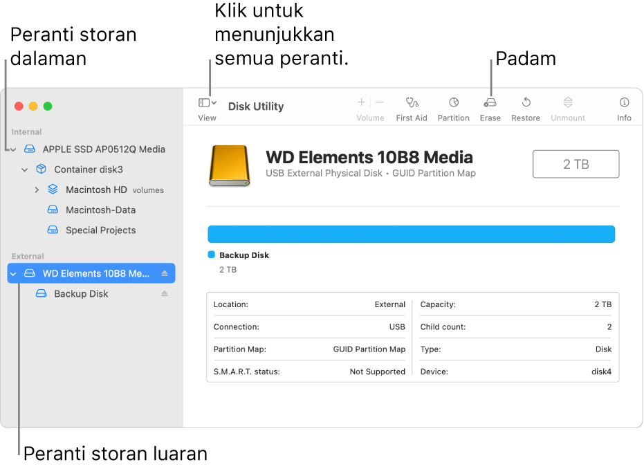 Tetingkap Utiliti Cakera menunjukkan dua peranti storan dalam paparan Tunjukkan Semua peranti.