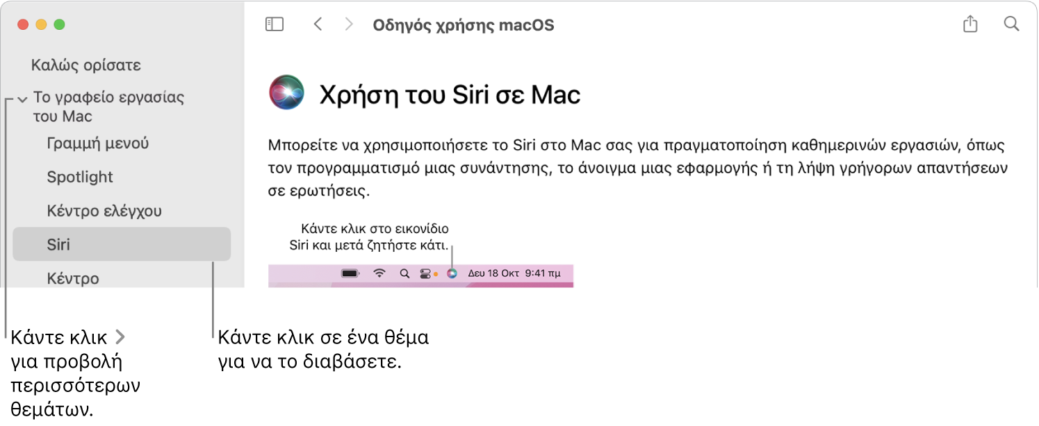 Η προβολή Βοήθειας στην οποία φαίνεται ο τρόπος προβολής θεμάτων στην πλαϊνή στήλη και ο τρόπος εμφάνισης του περιεχομένου ενός θέματος.