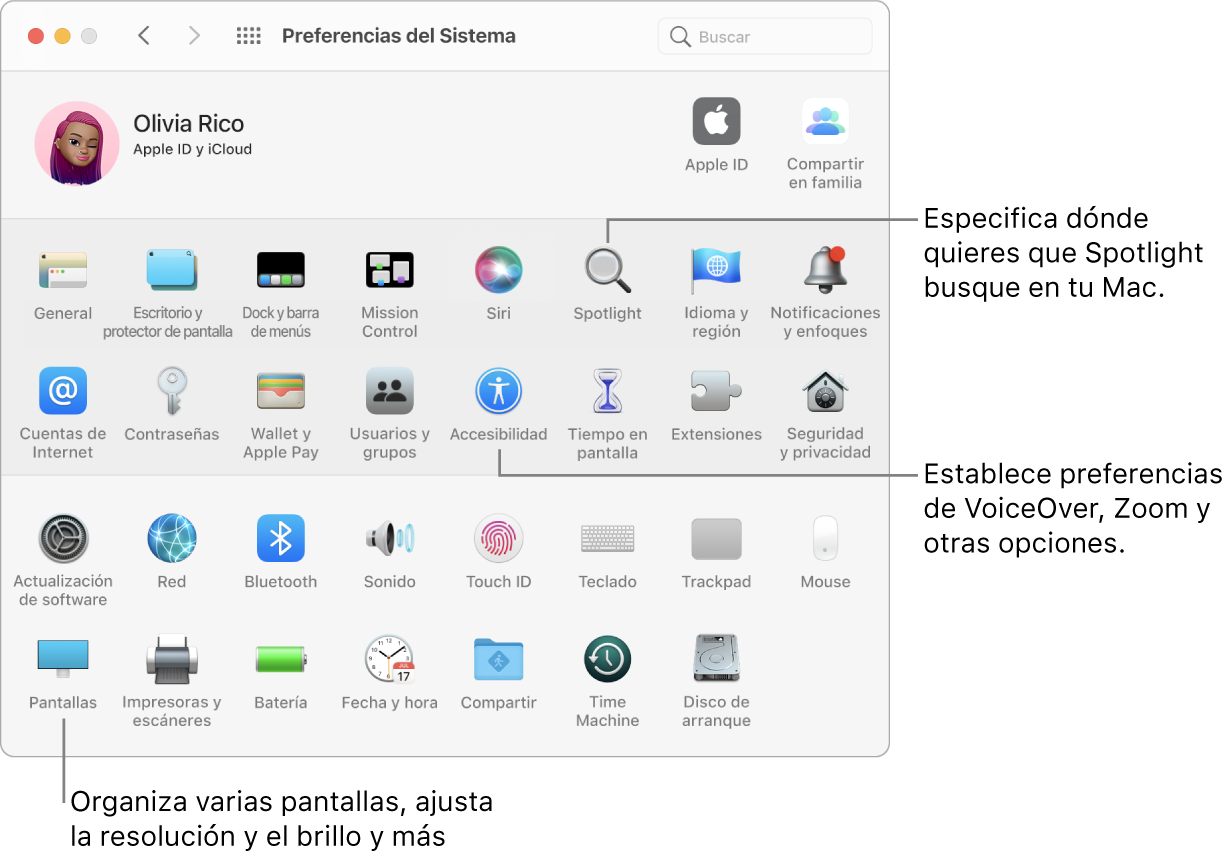 Ventana de Preferencias del Sistema con textos que indican los paneles Spotlight, Accesibilidad y Pantallas.