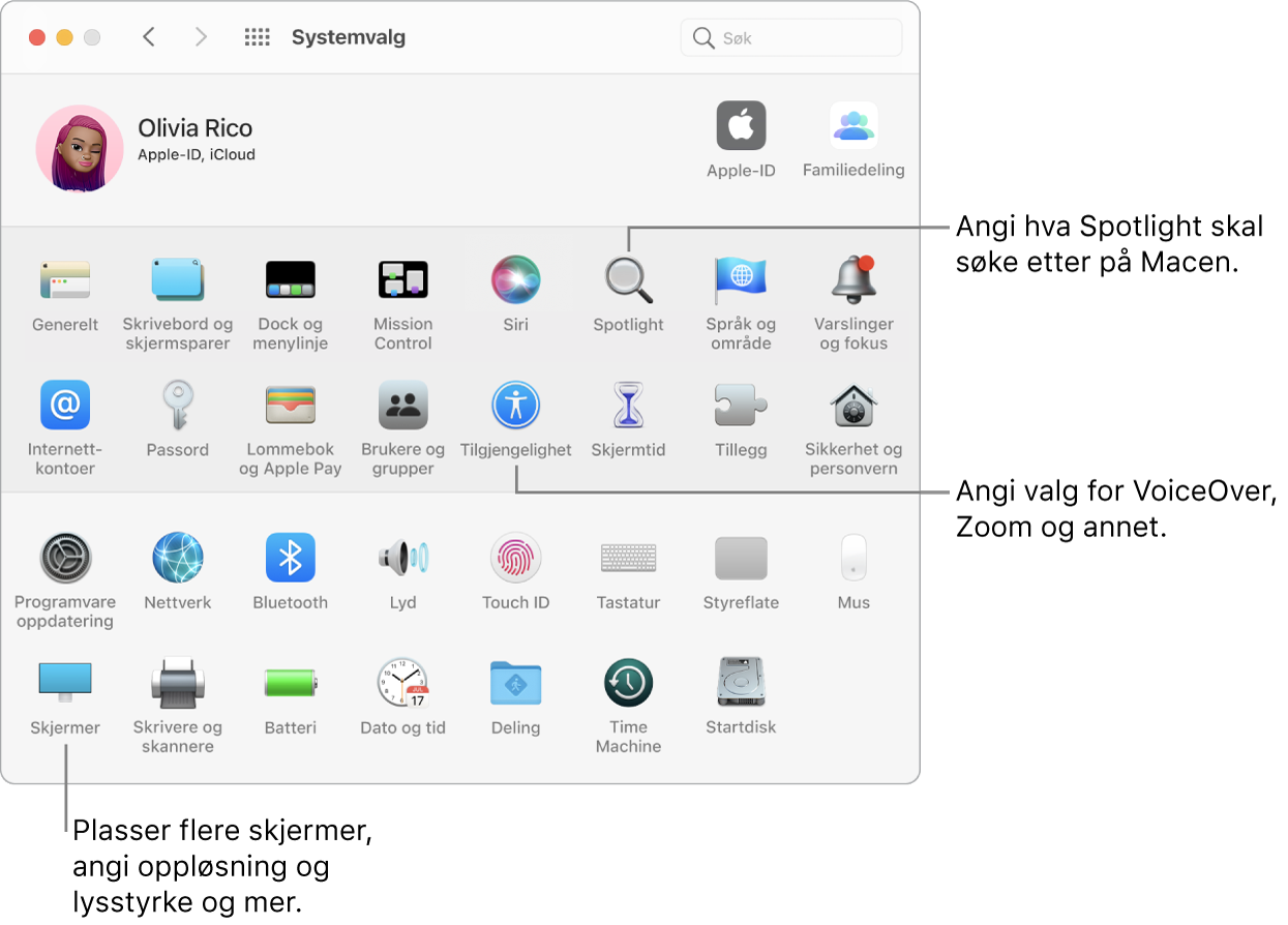 Systemvalg-vinduet, med bildeforklaringer for Spotlight-, Tilgjengelighet- og Skjermer-innstillinger.