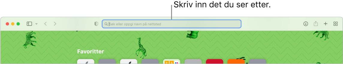 Et beskåret Safari-vindu med en bildeforklaring for søkefeltet øverst i vinduet.