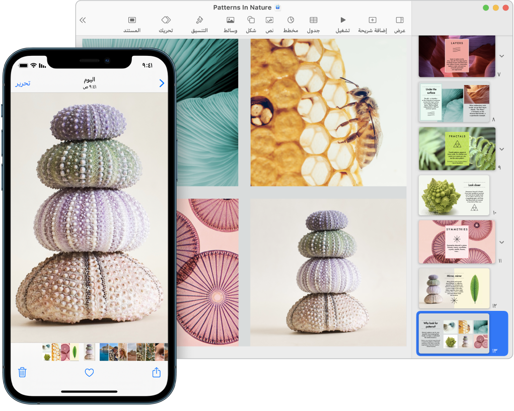 جهاز iPhone يعرض صورة، وبجواره جهاز Mac تظهر عليه الصورة بعد لصقها في مستند Pages.