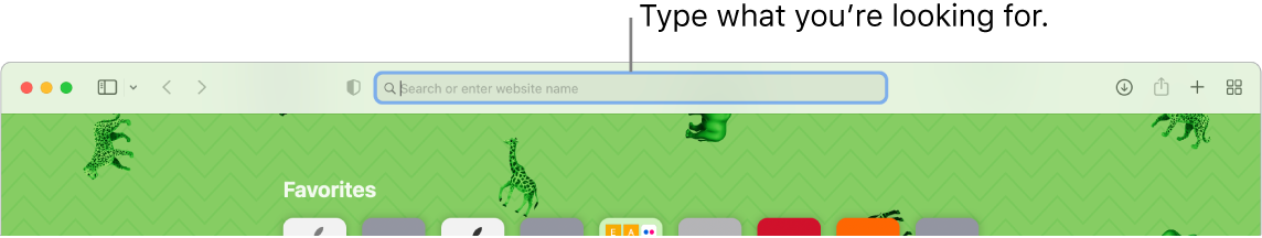 A cropped Safari window with a callout to the search field at the top of the window.